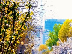 -天津五大道文化旅游区