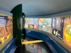 -上海昆虫博物馆