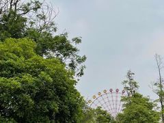 -成都南湖公园