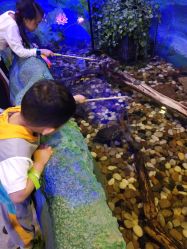 -酷嗒动物文化乐园(cutezoo西溪乐天城店)