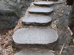 -晓港公园