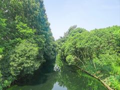 -上海滨江森林公园