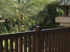 -碧桂园润杨溪谷温泉酒店