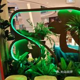 野生菌火锅