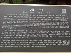 -晋祠博物馆