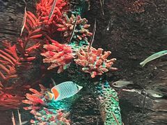 -沈阳海洋探索中心