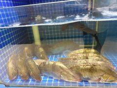 -上庄晋风庄园(上庄店)