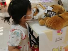 -盒马X会员店(王府井奥莱UP TOWN店)