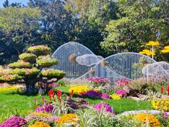 -上海共青森林公园