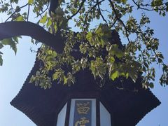 -上海佘山国家森林公园天马山园