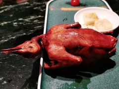 红烧乳鸽-大鸽饭(北京路店)
