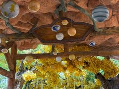 -横店影视城梦幻谷园区