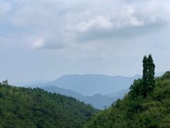 -军营村