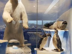 -国家自然博物馆