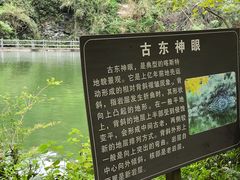 -桂林古东瀑布景区