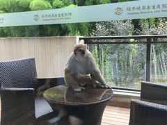 -苏州环秀晓筑养生度假村