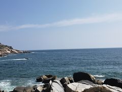 -广东惠东海龟国家级自然保护区