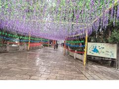 -腊山国家森林公园