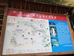 iphone_upload_pic-鼎湖山风景区