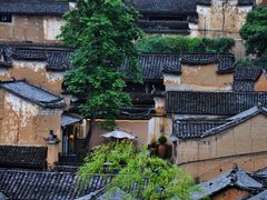 -杨家堂村
