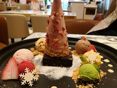 -哈根达斯(深圳海岸城店)
