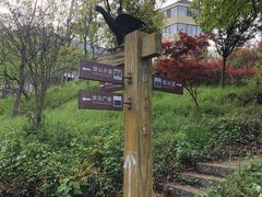 -老山国家森林公园