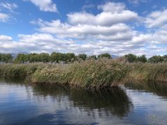 -野鸭湖国家湿地公园