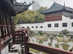 -豫园湖心亭茶楼