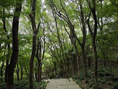 -宁波市保国寺古建筑博物馆