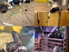 -正佳雨林生态植物园