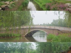 -东郊湿地公园