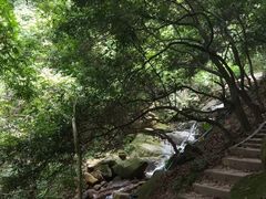 -火炉山森林公园