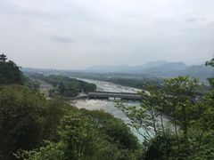 -老号尤兔头(幸福店)