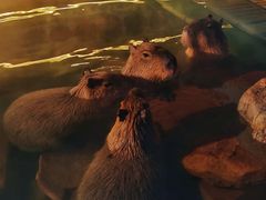 -郑州银基黄帝宫御温泉