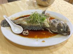 老虎斑-老字号蛇口德记烧腊饭店·海鲜加工
