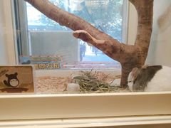 -龙猫仔乐园(惠福东路店)