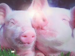 -chi K11艺术空间展览厅