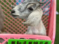 -开元商城(西旺店)