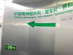-爱侣宠医·鹦鹉专科·小型哺乳类·异宠专科(灵石路店)