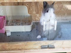 -小意思咖啡店(草桥店)
