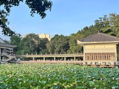 -荔湾湖公园