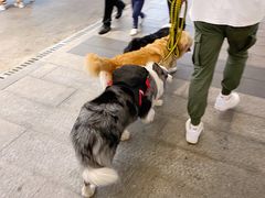 -阿嬷手作(深圳梅林卓悦汇店)