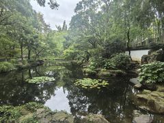 -秋霞圃