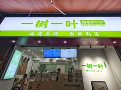 -一树一叶·福建茶档(石鼓路店)