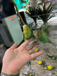 -酷嗒动物文化乐园(cutezoo西溪乐天城店)