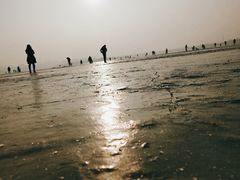 -丁香湖公园