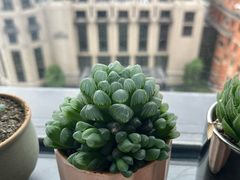-麦当劳(虹口星荟中心店)
