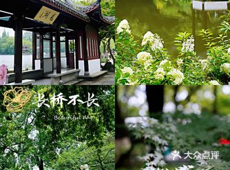 火柴的怀旧公园-长桥公园，曾经每天走两遍