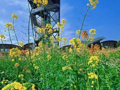 -中国天府农业博览园