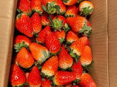 -西郊国际农产品交易中心